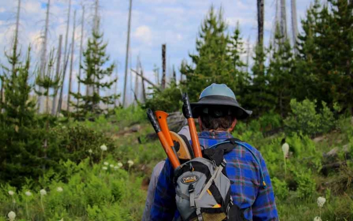 A person carries gardening tools in a backpack as they hike through a wooded area